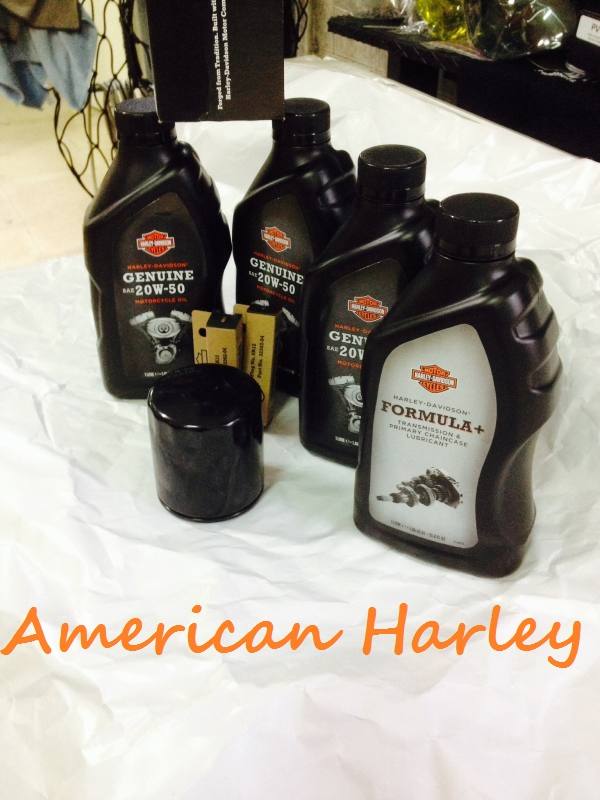 Kit Tagliando Originale Harley Davidson Sportster Modello Sportster